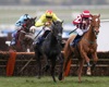 Spreadex top 10 sports spread bets of the year 2015 Cheltenham