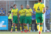Teemu Pukki Norwich 201920