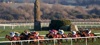 punchestown-2022-600