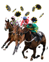 horses-cheltenham-chips