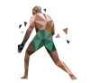 ufc-4-cms